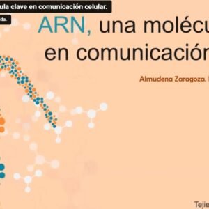 ARN, una molécula clave en la comunicación celular.