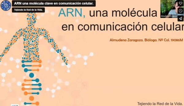 ARN, una molécula clave en la comunicación celular.