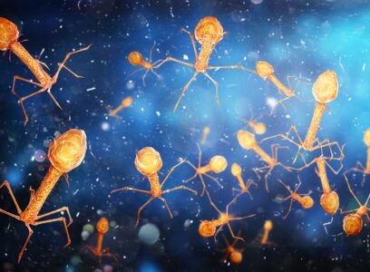 Virus, mensajeros de la vida