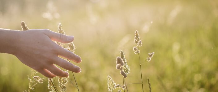 El retorno de la Naturaleza.