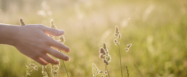 El retorno de la Naturaleza.