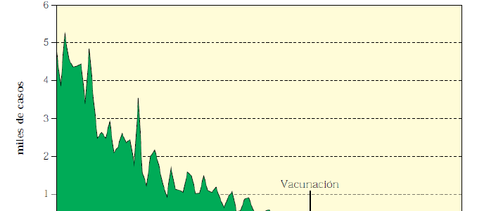 La mortalidad durante el siglo xx y la contribución de la vacunación.