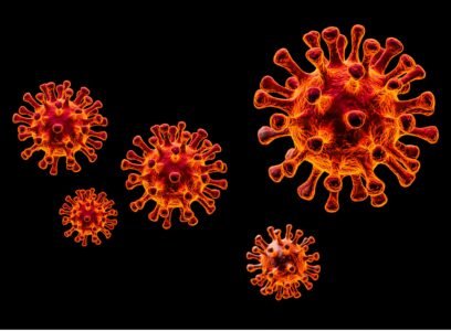 La función de los virus en la Evolución