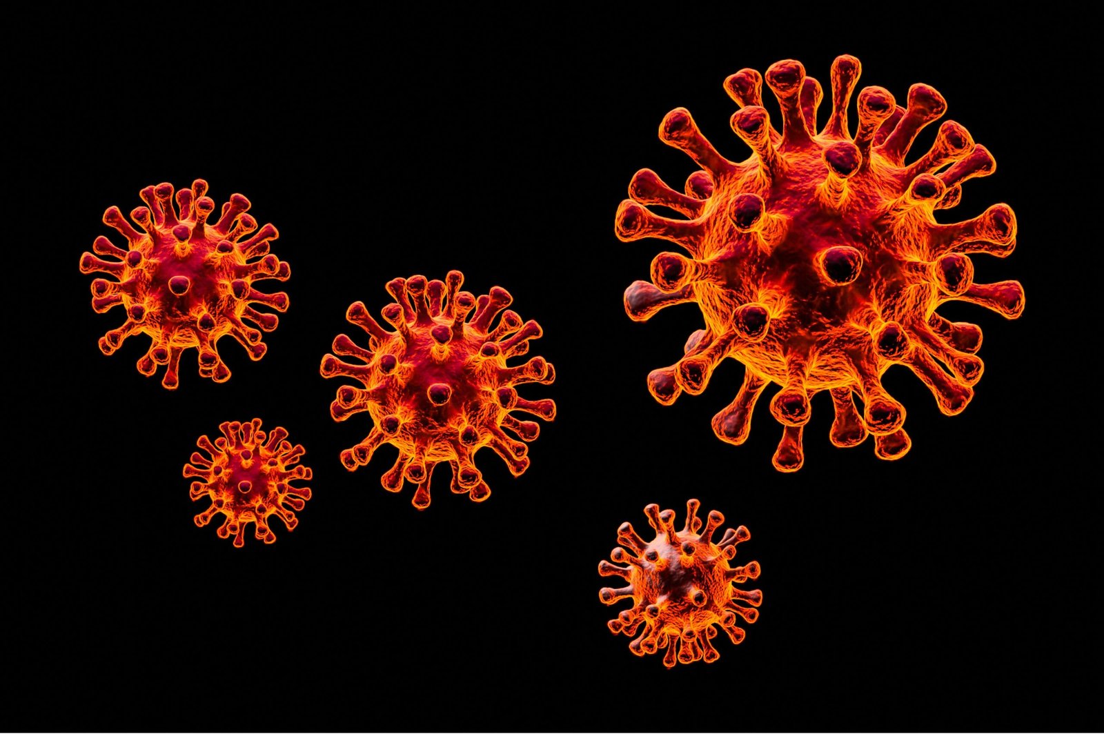 La función de los virus en la Evolución
