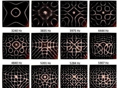 Bioacústica, bioelectricidad y ADN