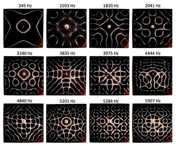 Bioacústica, bioelectricidad y ADN
